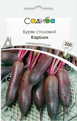 Купити буряк Округлий темно - червоний 10 грам ціна в інтернет-магазині  Agromarket50