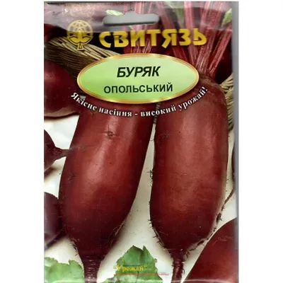 Продам буряк, сорт Зепо - купити буряк, сорт Зепо — Agro-Ukraine