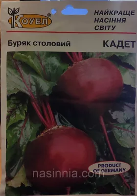 Насіння Буряк столовий Карілон, 200шт Виробник: Rijk Zwaan, Нідерланди  (ID#2043042011), цена: 27 ₴, купить на Prom.ua