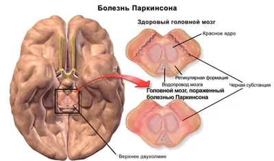 Пять лучших фильмов, действие которых происходит в поезде | Mixnews