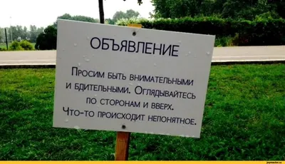 Мама, выходи, тут гражданская война началась» Что происходит? И чем все это  кончится для Пригожина, Путина и России? Размышляют читатели «Медузы» —  Meduza