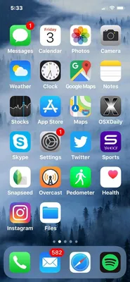 Скриншот экрана iPhone X | Homescreen iphone, Iphone phone, Iphone app  layout