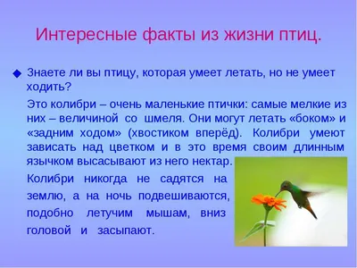 Наука зоология - это интересно - МЭЦ Межшкольный эстетический центр г.  Краснодара