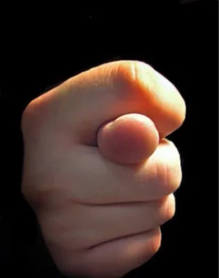 знак фига. жест руки запястье пальцами с символом логотипа языка жестов  Иллюстрация вектора - иллюстрации насчитывающей иллюстрация, предмет:  237244547