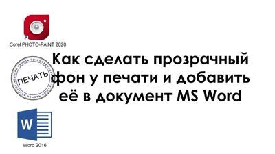 Сделать белый фон на фото онлайн в 1 клик | Fotor