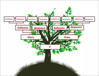 И снова о генеалогических деревьях / Хабр