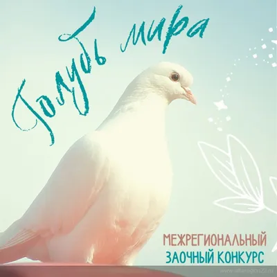 Голубь мира – голубь Победы / Новости / Городской округ Мытищи