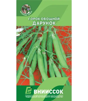 ✓ Семена Горох Никитка, 25,0г, Гавриш, серия Лидер 1+1 по цене 42 руб. ◈  Большой выбор ◈ Купить по всей России ✓ Интернет-магазин Гавриш ☎  8-495-902-77-18