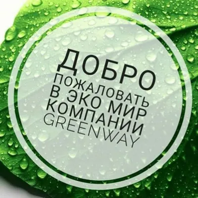 Greenway - zoom 26.03 Клиентский Чат - YouTube