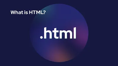 Creating HTML Tables (Tutorial With Examples) - Shiksha Online