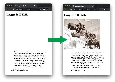 Images in HTML - Learn web development | MDN