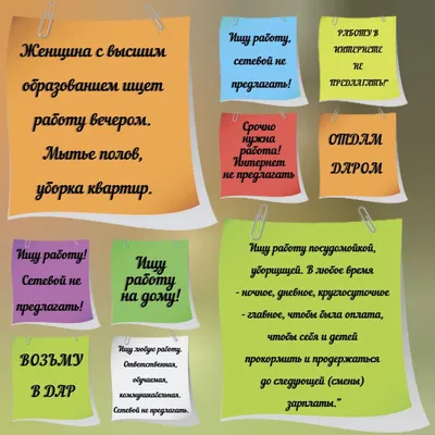 Ищу работу в Мозыре… Что предлагает работодатель и чем недоволен  соискатель? » Интернет-портал «Полесье своими глазами» | Бесплатные частные  и коммерческие объявления