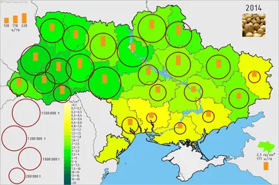 Україна - третя у світі з вирощування картоплі - газета Сільський Господар