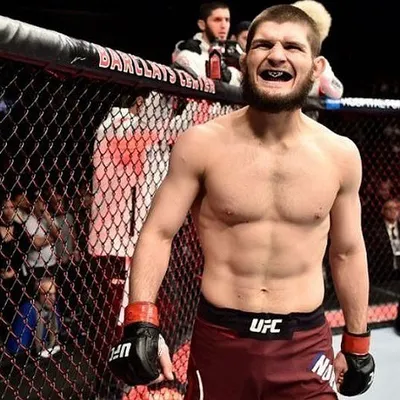 Российский чемпион UFC Хабиб Нурмагомедов и его советы о том, как держать  себя в хорошей форме - Чемпионат