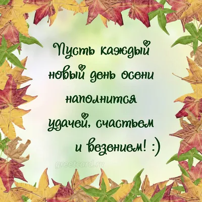 Добрые пожелания 💞 Открытки | 🍂 Доброго осеннего утра ☕ Хорошего удачного  дня 💕👍🍁 | Дзен