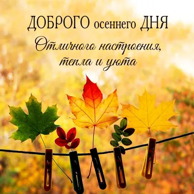 Пускай дожди, пускай ненастье Вы на погоду не смотрите. Пускай в душе  зажжется счастье, Мечтайте, верьте и любите! Д… | Пейзажи, Осенние  картинки, Осенний пейзаж