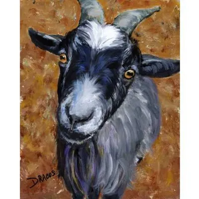 Конец портрета козы вверх Красивая, смешная, молодая коричневая коза  изолированная на белой предпосылке ландшафт фермы животных л Стоковое  Изображение - изображение насчитывающей шерсть, млекопитающее: 124395271