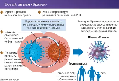 Кракен – самый арктический монстр – GoArctic.ru – Портал о развитии Арктики