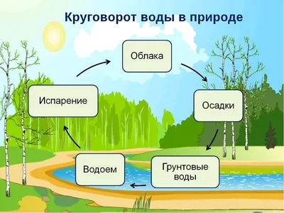 Дем. плакат. круговорот Воды В природе. - купить в Лавка Чудес, цена на  Мегамаркет