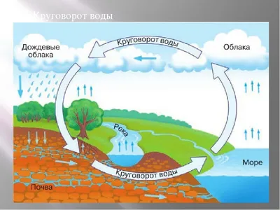 Движение воды на земле | Вода для Вас