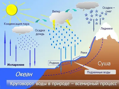 Круговорот воды в природе: интересные факты