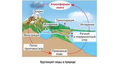 Круговорот воды в природе. Физика 7 класс. | Накагава Иван | Дзен