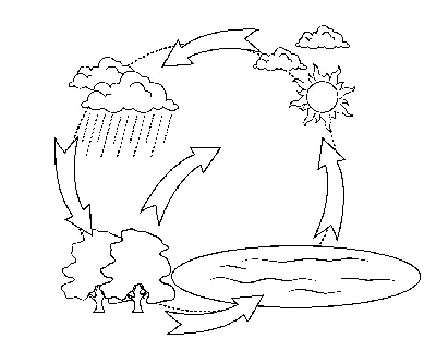 Картинки круговорота воды в природе (40 картинок) - Pichold