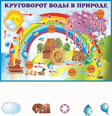 Купить Круговорот воды в природе артикул 1197 недорого в Украине с доставкой