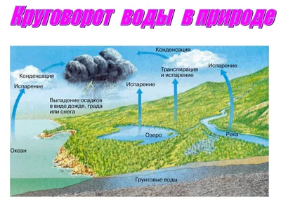 Круговорот воды в природе своими руками! -Новости