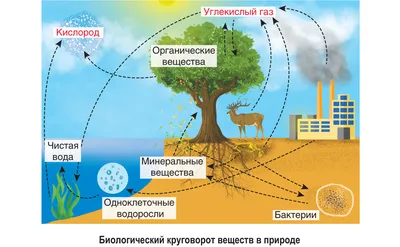 Два плюс два: Круговорот воды в природе: поделки и опыты