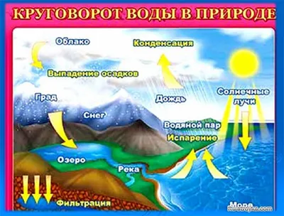 Макет «Круговорот воды в природе» (подготовительная к школе группа) (4  фото). Воспитателям детских садов, школьным учителям и педагогам - Маам.ру