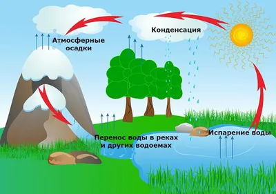 Круговорот воды в природе картинки - 66 фото