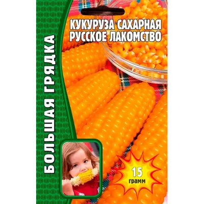 Кукуруза консервированная Solvita - рейтинг 5 по отзывам экспертов ☑  Экспертиза состава и производителя | Роскачество