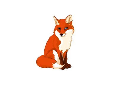 Fox Cartoon png download - 1277*1600 - Free Transparent RED Fox png  Download. - CleanPNG / KissPNG