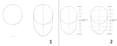 Как научиться правильно рисовать карандашом лицо человека на сайте  kalachevaschool.ru