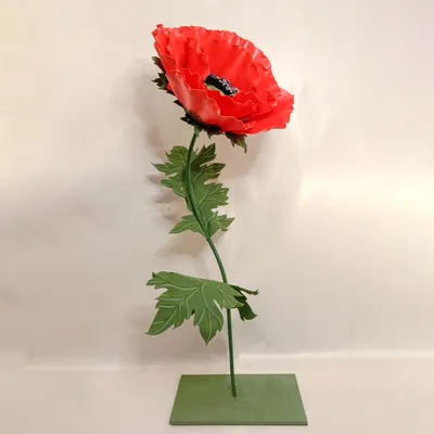 Мак восточный розовый (Papaver orientale pink) купить в Москве по низкой  цене из питомника, доставка почтой по всей России | Интернет-магазин  Подворье