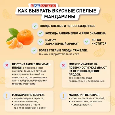 Мандарин красный Citrus reticulata