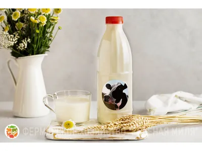 Чечевичное молоко — Википедия