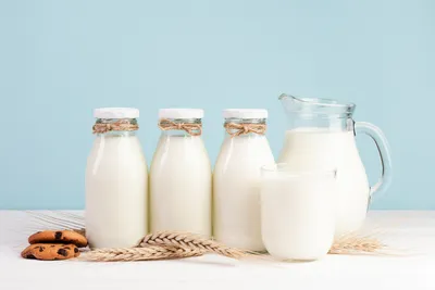 Топ-5 нестыдных вопросов о молоке | Новости и статьи ВкусВилл: Москва и  область