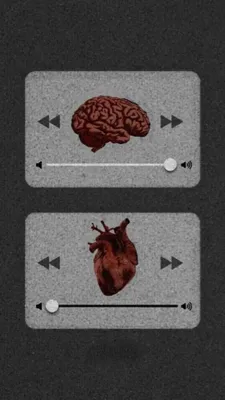 INTELLIGENCE IN OUR HEART: WHO IS THE MOST IMPORTANT IN THE WORLD?