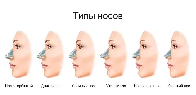 Целая наука. Как правильно закапывать нос? | Здоровая жизнь | Здоровье |  Аргументы и Факты