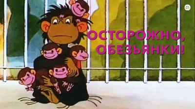 Обезьянки | Пикабу