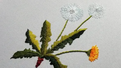 Flower embroidery: Dandelions | Цветочная вышивка: Одуванчики - YouTube