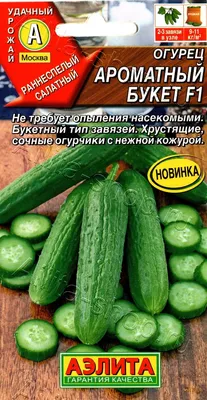 Огурец Вектор 10 шт. купить оптом в Томске по цене 12 руб.