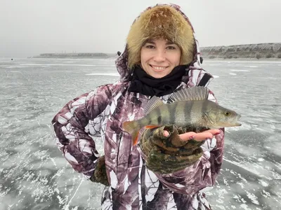 Вяленый окунь - Fishmarket - магазин рыбы и морепродуктов