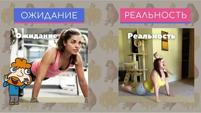 Ожидание VS реальность» — 10 забавных фото, которые показывают, что  действительность часто не совпадает с ожиданиями | Zinoink о комиксах и  шутках | Дзен