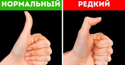 Толстяк, розовый, ушной… Как пальцы рук называются на других языках? |  Пикабу