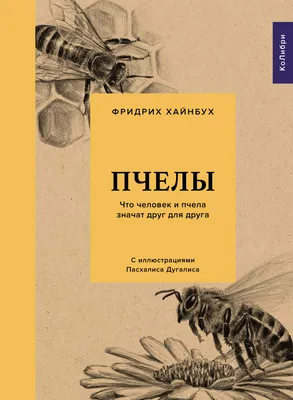 Почему жалит пчела? ➤ Интернет-магазин Vashapasika