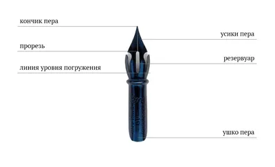 Рисунок Орла, Перо, Птица, Павлин, Закон Орлиного Пера, Перо, Ручка,  Пишущий Инструмент png | Klipartz