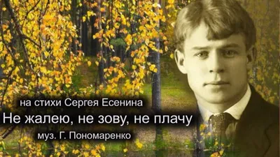 Под чужую песню и смеюсь и плачу. Володин С. - Библиотека гитариста